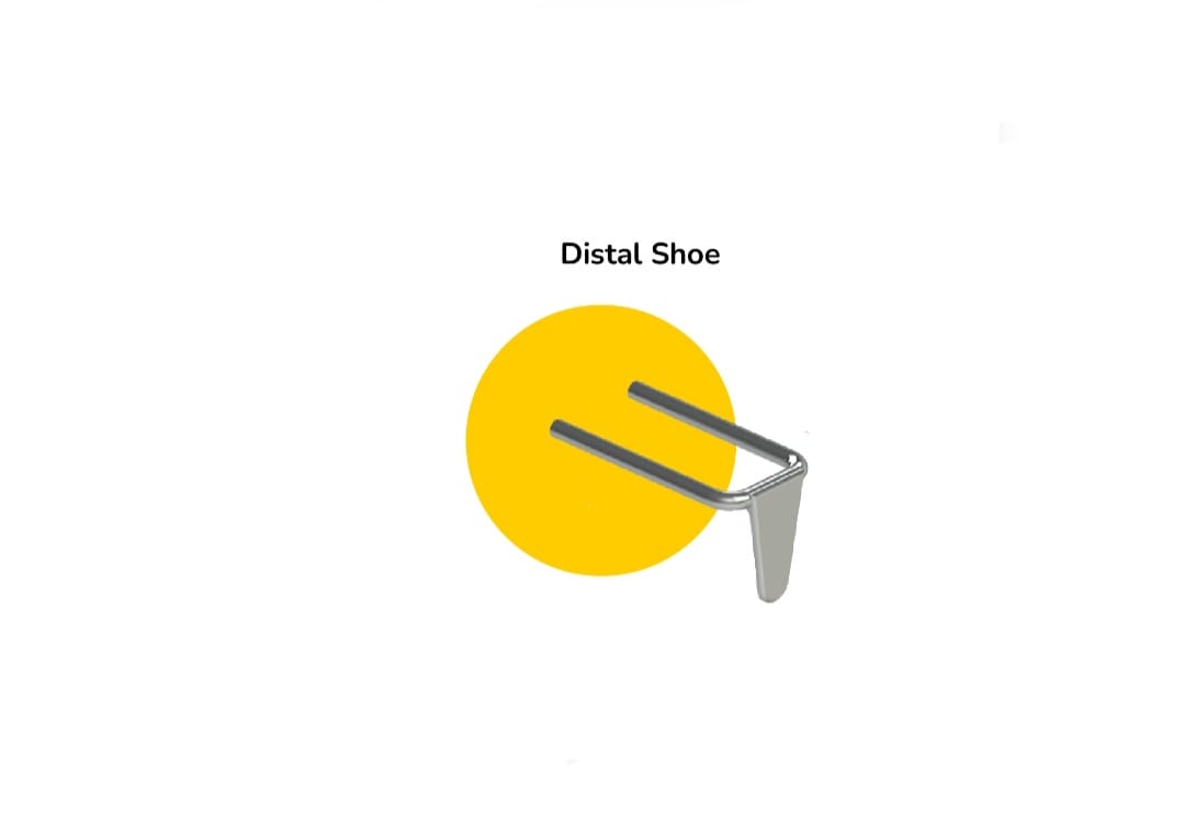 Distal shoe